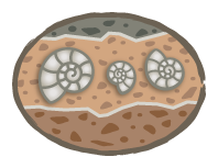 illustration of a cross section of rock showing several fossils.